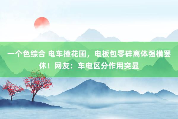 一个色综合 电车撞花圃，电板包零碎离体强横罢休！网友：车电区分作用突显