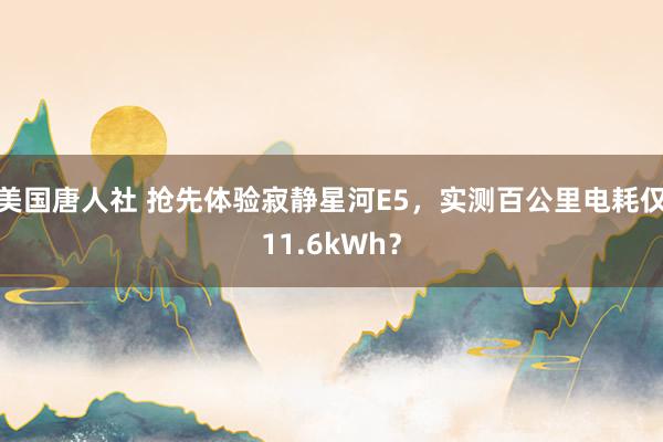 美国唐人社 抢先体验寂静星河E5，实测百公里电耗仅11.6kWh？