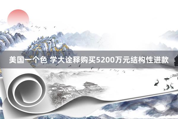 美国一个色 学大诠释购买5200万元结构性进款