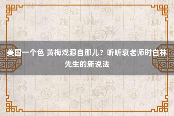 美国一个色 黄梅戏源自那儿？听听衰老师时白林先生的新说法