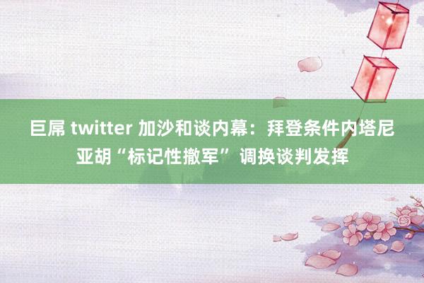 巨屌 twitter 加沙和谈内幕：拜登条件内塔尼亚胡“标记性撤军” 调换谈判发挥