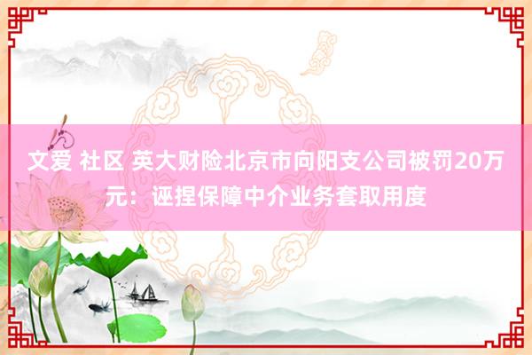 文爱 社区 英大财险北京市向阳支公司被罚20万元：诬捏保障中介业务套取用度