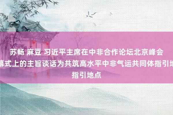 苏畅 麻豆 习近平主席在中非合作论坛北京峰会开幕式上的主旨谈话为共筑高水平中非气运共同体指引地点